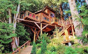 Owl'S Perch Treehouse